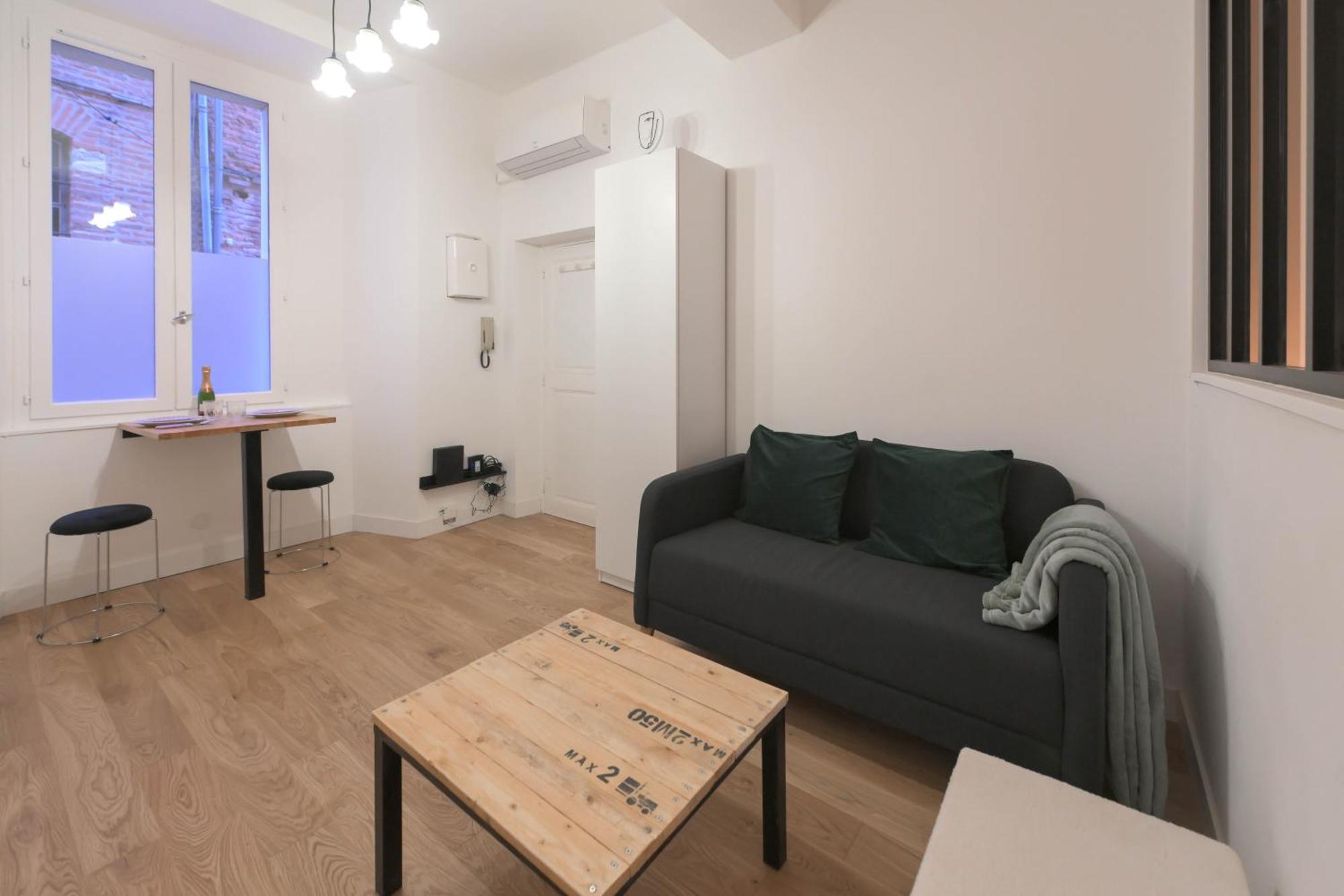 Appartement T1 Bis L'Enfilade Алби Екстериор снимка